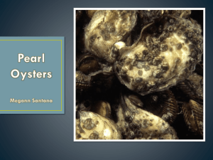 Pearl Oysters - Megann Santana