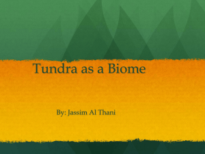 Tundra science  - 19-034