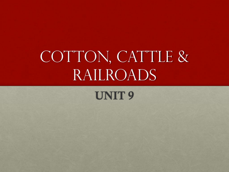 COTTON CATTLE RAILROADS