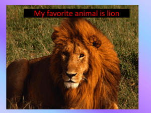 My favorite animal is lion.ppt 3 - Computers