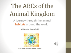 The ABC`s of the Animal Kingdom