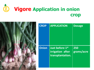 CROP APPLICATION Dosage Onion Just before 1 st irrigation after