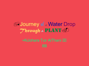 Waterrop journey