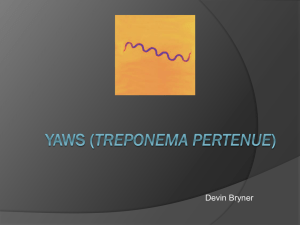 Yaws (Treponema pertenue) - Devin Bryner`s e