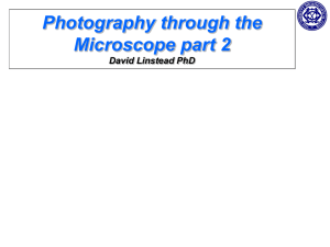 Photography through the Microscope David Linstead PhD