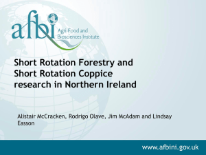 Short Rotation Forestry and Short Rotation Coppice research in