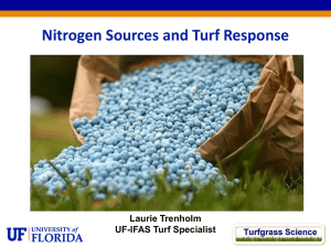 Unintended Consequences: Nitrogen Sources