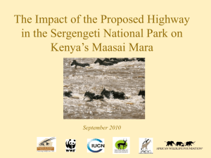 The Maasai Mara National Reserve Kenya`s Jewel of