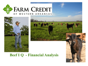 Beef IQ Financial Analysis Balance Sheet November 2013