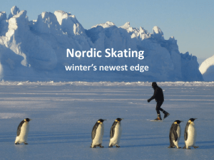Nordic Skating