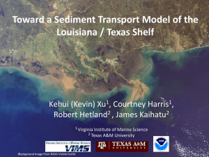 Toward a Sediment Transport Model of the Louisiana