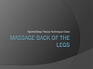 Massage Back of the legs - TLC Massage Therapy School