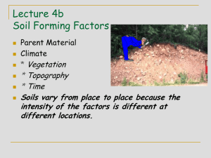 4b) Soil F.F. -Biotic- Topography - Time