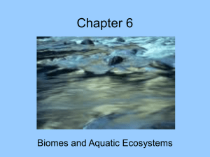 Biome review and Aquatic Ecosystems