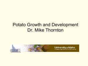 Potato Growth and Development – Mike Thornton