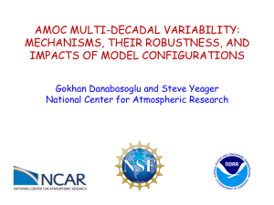 AMOC Variability Mechanisms, Their Robustness, and