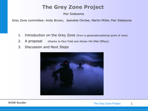 The Grey Zone Project