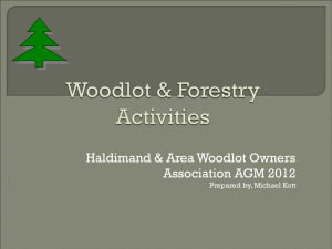 Woodlot & Forestry Activities - Haldimand & Area Woodlot Owners