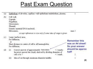 Past Exam Question