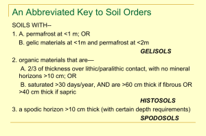 Lower Levels - Soils @ UGA