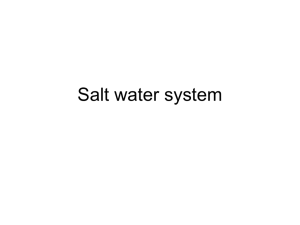 Salt_water_system