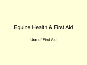 Equine Health & First Aid