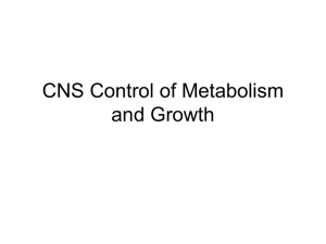 CNS Control of Metabolism and Growth