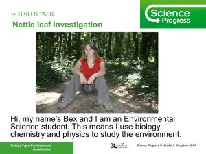 Skills task - Nettle leaf investigation