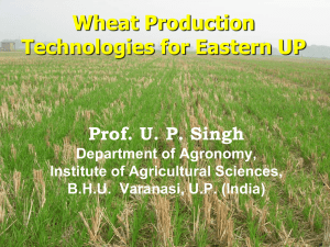 Prof. U. P. Singh ,Institute of Agricultural Sciences