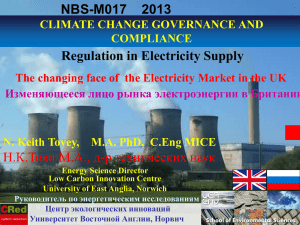 Regulation in Electricity Supply