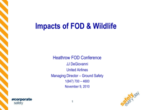Impacts of FOD & Wildlife - Aerosweep | Speed Sweeping Solutions