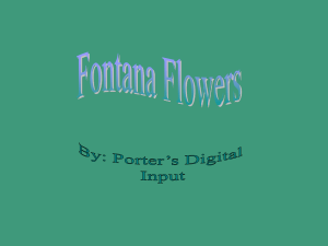 Fontana Flowers - Village of Fontana