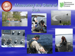 Standard Fisheries Assessment