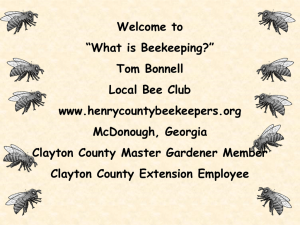 BeekeepingMast2011-03-29 - Henry County Beekeepers