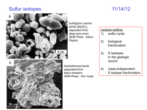 Sulfur isotopes in biogechemical cycling