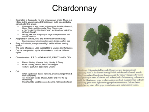 CHARDONNAY - Maurice Wine Cru