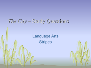 The Cay – Study Questions