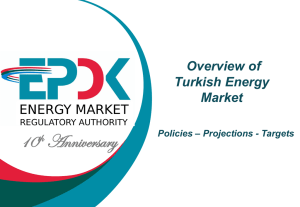 Turkish Electricity Market