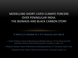 Modelling short-lived climate forcers over Peninsular India: the