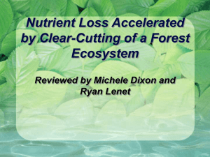 Nutrient Loss Accelerated by Clear