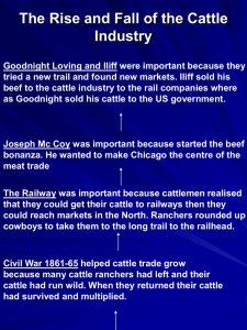 The Rise and Fall of the Cattle Industry