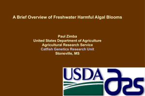 A Brief Overview of Freshwater Harmful Algal Blooms Paul Zimba