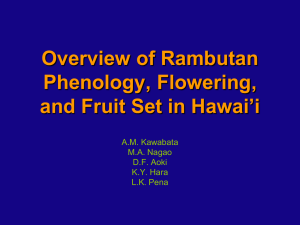 PowerPoint - Hawaii Tropical Fruit Growers