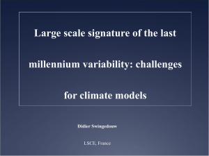 Large scale signature of the last millennium variability
