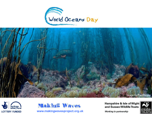 World Oceans Day Assembly PowerPoint