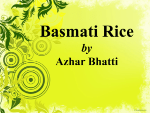 Basmati Rice by Azhar-u-Din Bhatti at Las Vegas