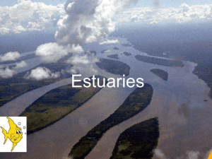 Estuaries - MUGAN`S BIOLOGY PAGE