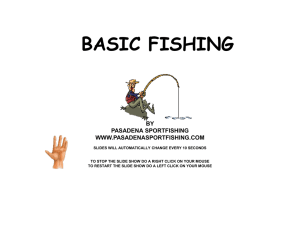BASIC FISHING - Pasadena Sportfishing Group