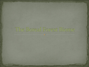 The Boreal Forest Biome