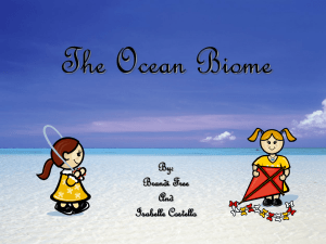 The Ocean Biome-brandi and izzy
